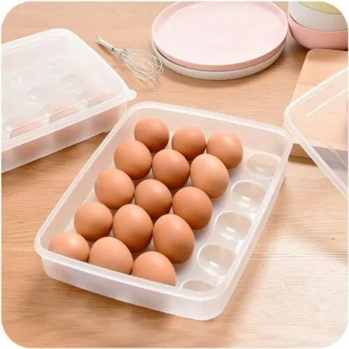 20 Grid Egg Box Egg Organizer Holder Case 20 Grid Egg Box Egg Organizer Holder Case