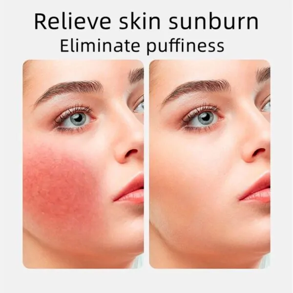 Facial Beauty Ice Roller