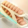 Rolling Egg Dispenser. Food Grade Plastic. 14-15 Capacity, Automatic Sliding Spiral Holder