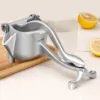 Manual Citrus Juice Squeezer Hand Press Juicer
