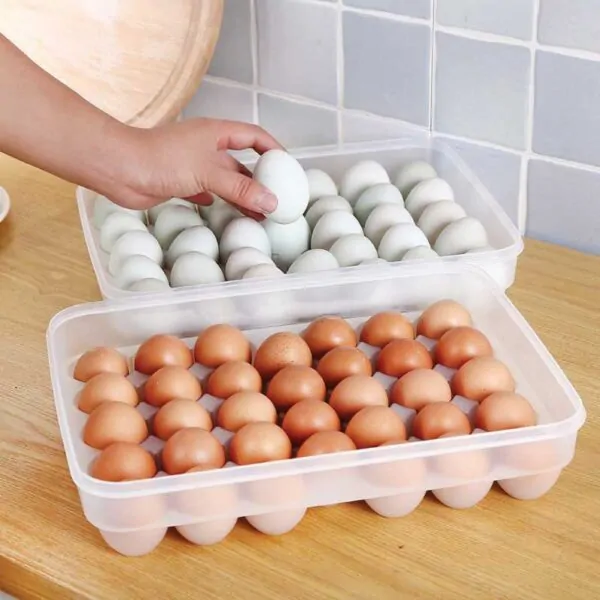 34 Gird Egg Storage Box 34 Gird Egg Storage Box