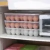 34 Gird Egg Storage Box 34 Gird Egg Storage Box
