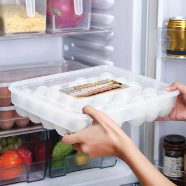 34 Gird Egg Storage Box 34 Gird Egg Storage Box