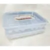 34 Gird Egg Storage Box 34 Gird Egg Storage Box