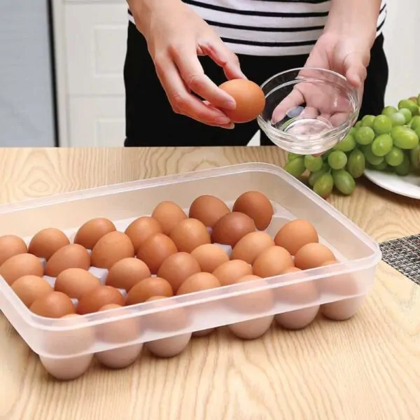 34 Gird Egg Storage Box 34 Gird Egg Storage Box