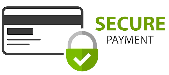 100% Secure Online Payment