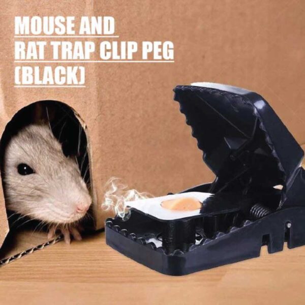 Best Mouse Trap Clip