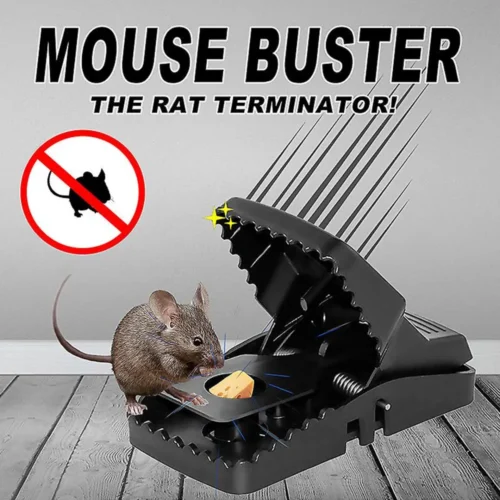 Best Mouse Trap Clip